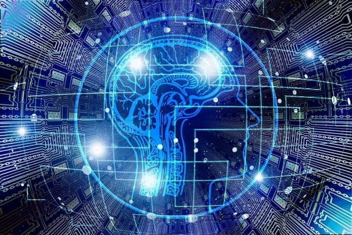 perfromance_cortex
