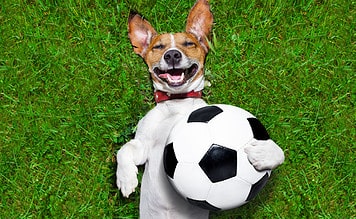 Fodbold jokes og vittigheder